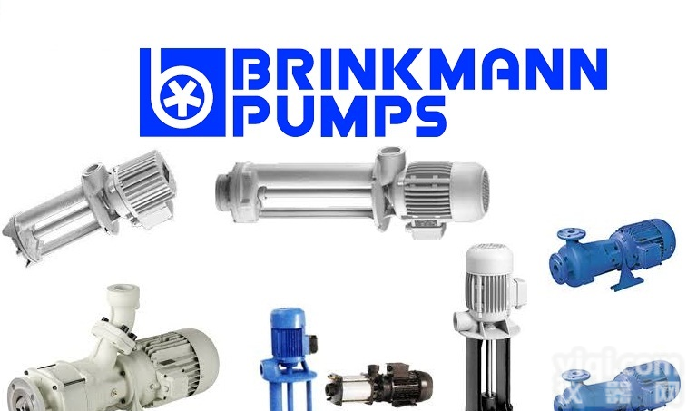 <em>德国</em> <em>BRINKMANN</em> <em>布曼</em> 泵