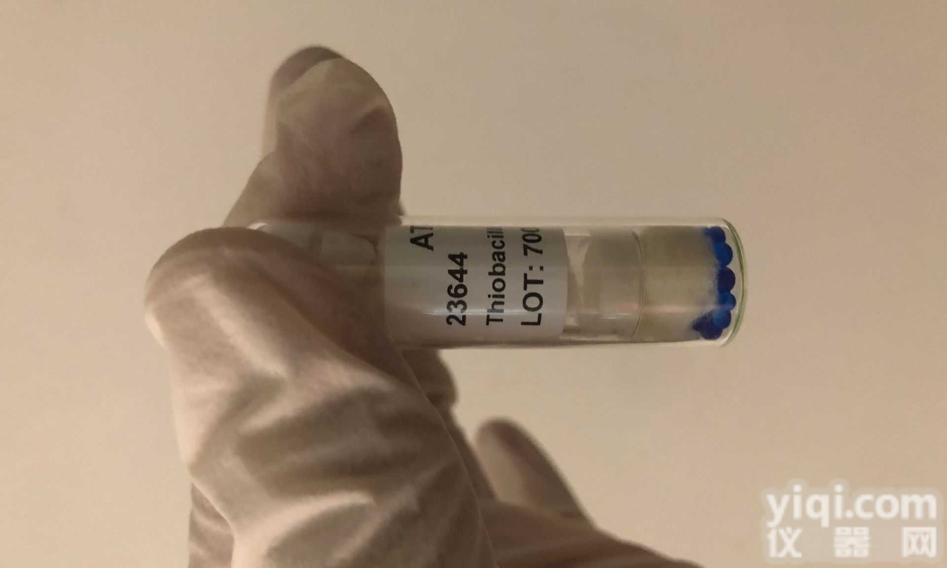 堪萨斯<em>分枝</em><em>杆菌</em> ATCC<em>菌种</em> BIOBW生物