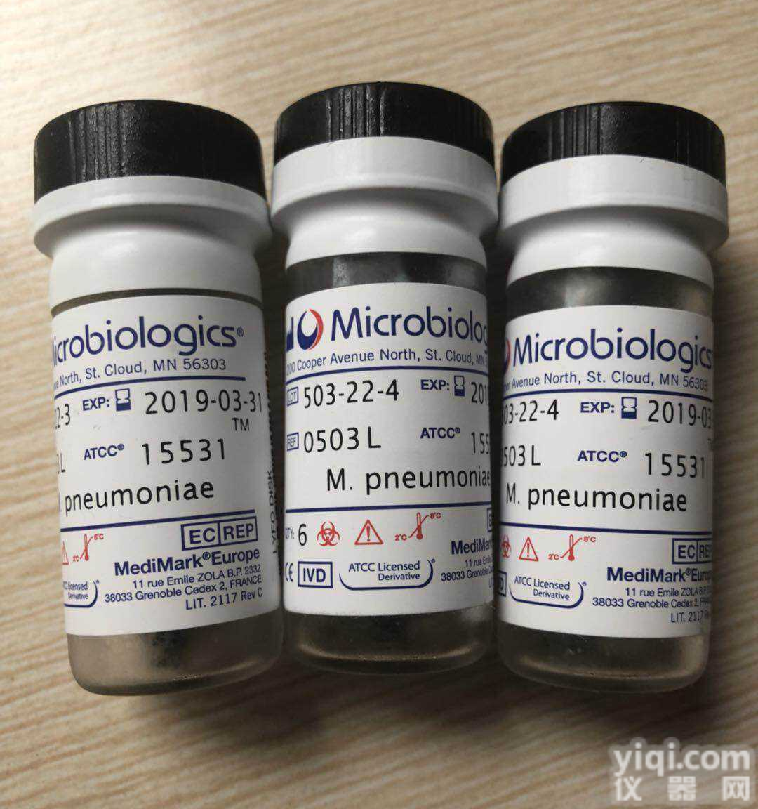 <em>缺陷</em><em>短波</em><em>单胞菌</em> ATCC菌种 BIOBW生物