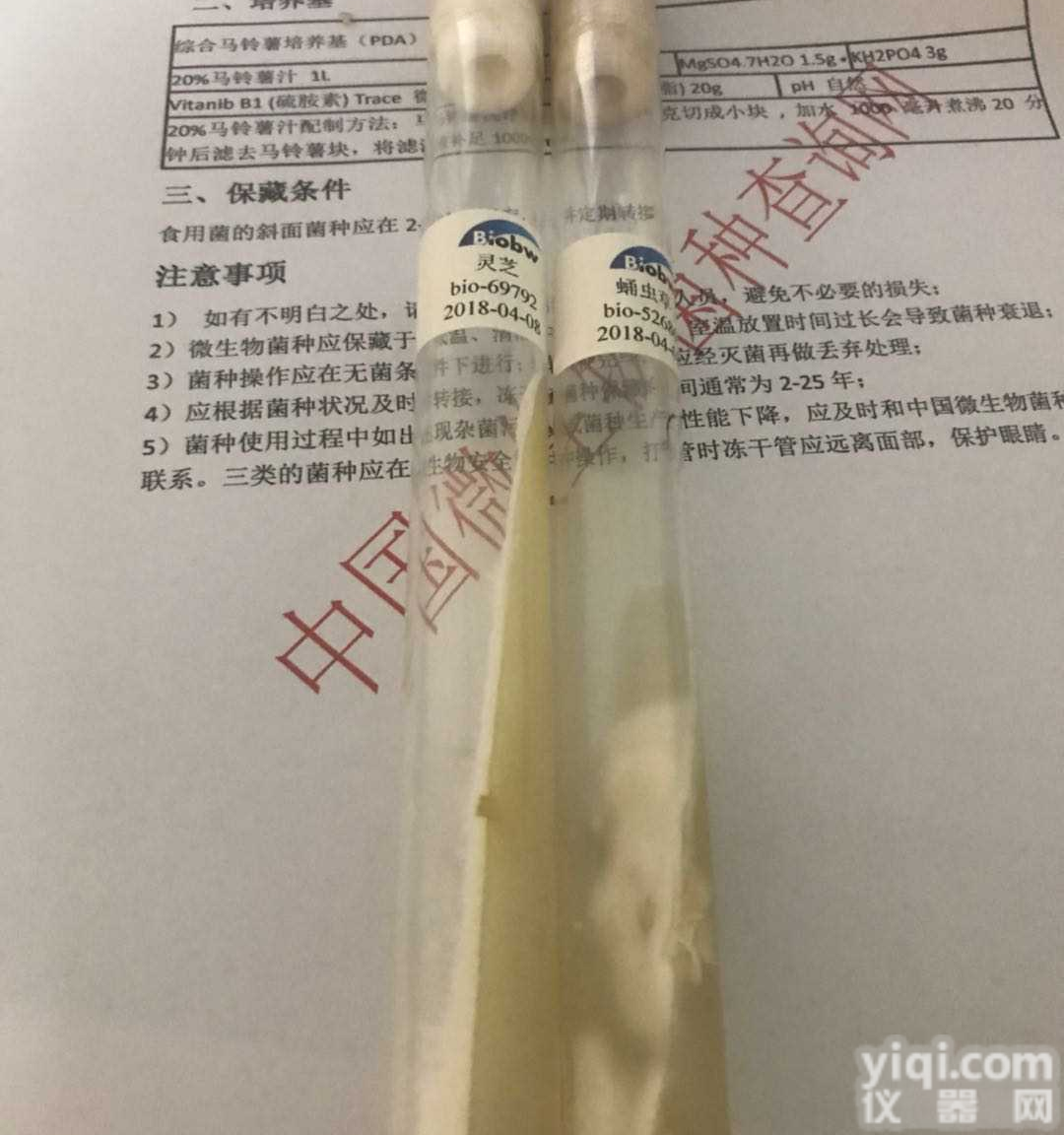 痤疮<em>丙酸</em>杆菌 ATCC<em>菌种</em> BIOBW生物