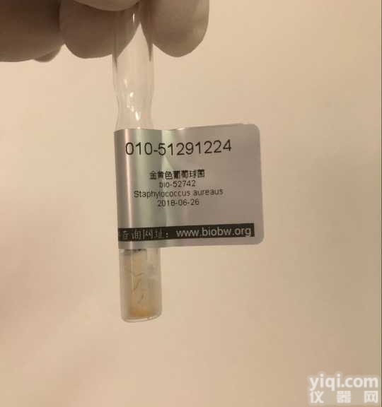 肺炎克<em>雷伯</em>氏菌 <em>ATCC</em>菌种 BIOBW 生物