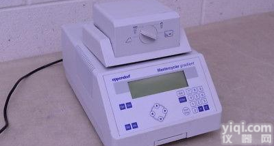 德国艾<em>本德</em>5331<em>梯度</em>PCR仪