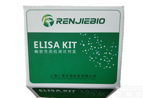 白细胞介素6<em>受体</em>(IL-6R)ELISA<em>试剂盒</em>（种属：<em>小鼠</em>）