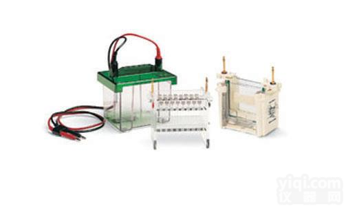 美国<em>伯乐</em>biorad<em>电泳槽</em>