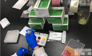 人有丝分裂原活化蛋白<em>激酶</em>14(MAPK14)ELISA<em>试剂盒</em>(<em>种属</em>齐全)