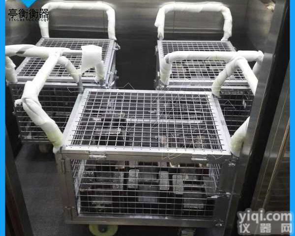 <em>电梯</em><em>砝码</em>租赁，25<em>千克</em>配重<em>砝码</em>