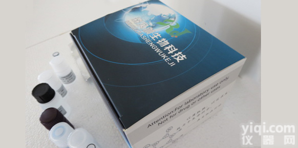 人<em>布鲁</em>氏<em>杆菌</em>igGELISA<em>试剂盒</em>说明书