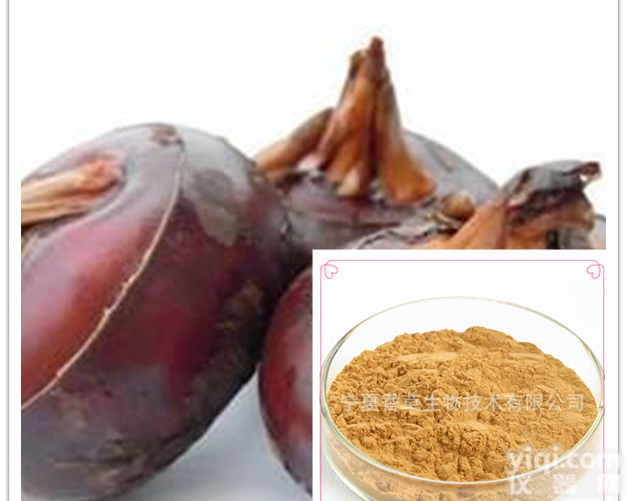 荸荠皮提取物 30:1 速溶粉 <em>浸膏</em>粉 提取液 <em>浓缩液</em> 规格可定制