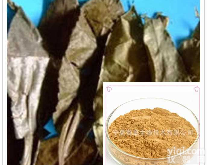山香圆叶提取物 山香圆叶生粉100目 <em>浸膏</em>粉 提取液 <em>速溶</em>粉 <em>浸膏</em>