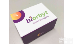 <em>MMP9</em> antibody 兔多克隆抗体