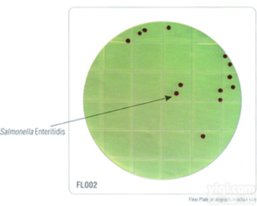 HiTouch™ <em>大肠</em><em>杆菌</em>和<em>大肠</em>菌群计数平板。