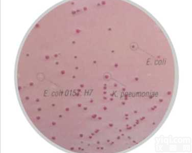 <em>大肠杆菌O157：H7显色培养基</em>（CT-SMAC 平板）（国标）。