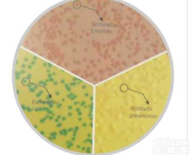 <em>大肠</em><em>杆菌</em>和<em>大肠</em>菌群鉴别计数培养基（膜过滤法）