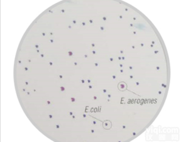 <em>大肠</em><em>杆菌</em>和<em>大肠</em>菌群显色计数肉汤（膜过滤法）