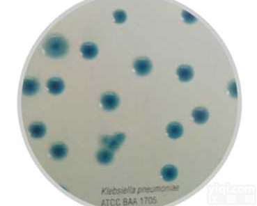 <em>KPC</em>阳性菌<em>显色</em><em>培养基</em>