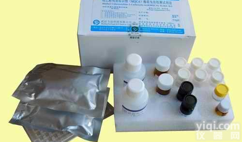 人左旋<em>肉碱</em>/L-<em>肉碱</em> elisa检测<em>试剂盒</em>品Pai