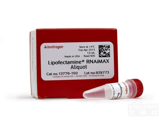 11789020 Gateway BP Clonase II <em>Invitrogen</em> 20 reactions