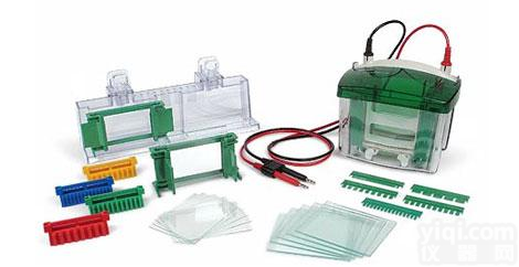 Bio-Rad Mini-<em>PROTEAN</em> <em>Tetra</em> <em>电泳槽</em>;小型垂直电泳系统