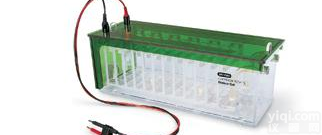 Bio-Rad <em>Criterion</em> Dodeca 高<em>通量</em><em>电泳槽</em>；中型垂直电泳系统