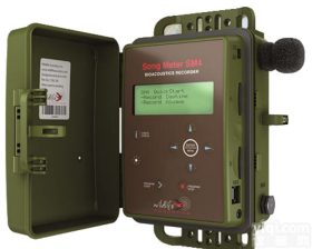 Wlidlife SM4<em>鸟类</em>声音<em>记录仪</em> 动物声音<em>记录仪</em>