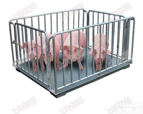 定制车间<em>过磅</em><em>轨道</em>秤，生肉称重电子<em>轨道</em>称