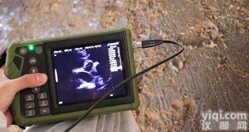 <em>母猪</em>b超，<em>母猪</em>b超机，<em>母猪</em>测孕b超仪