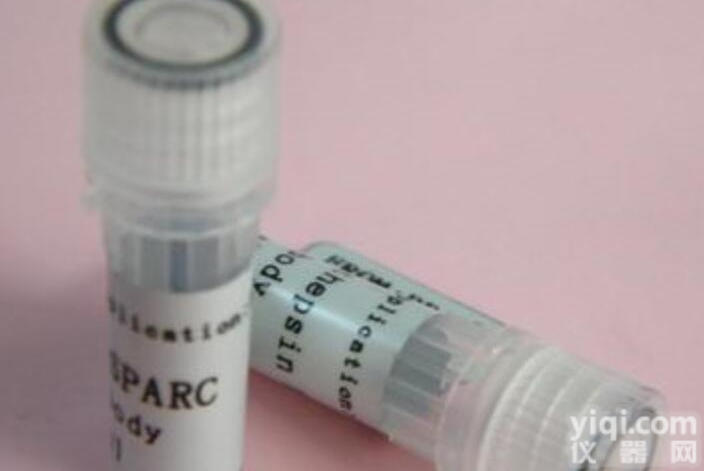 山羊抗<em>乙肝</em>表面<em>抗原</em>  Polyclonal Goat Anti-<em>HBsAg</em>