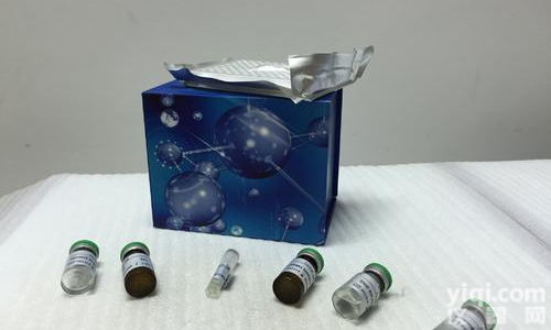 <em>磷酸</em><em>果糖</em><em>激酶</em>（PFK）/6-<em>磷酸</em><em>果糖</em><em>激酶</em>/<em>果糖</em>-6-<em>磷酸</em><em>激酶</em>测试盒50管/48样图片