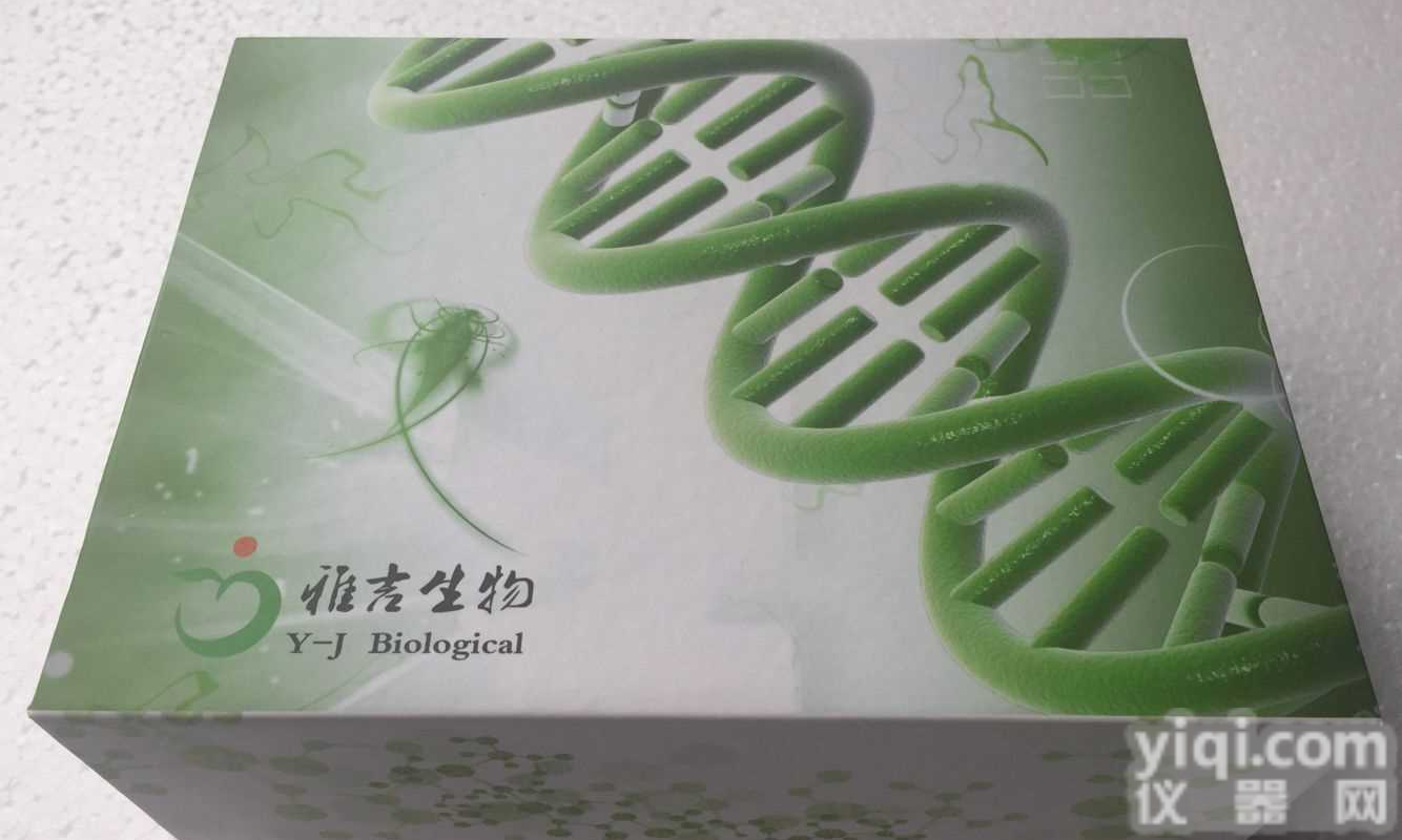 猪伪<em>狂犬病</em>病毒野<em>毒株</em>实时荧光PCR法检测<em>试剂盒</em>