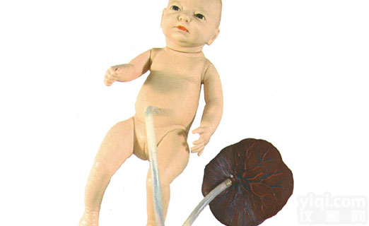 高级<em>新生儿</em><em>脐带</em><em>护理模型</em>