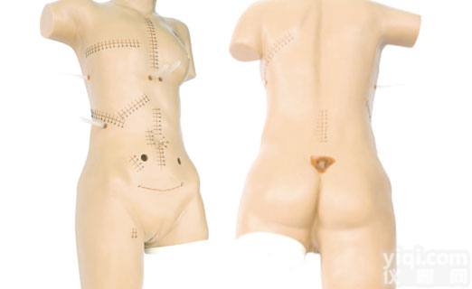 <em>外科缝合包扎展示模型</em>