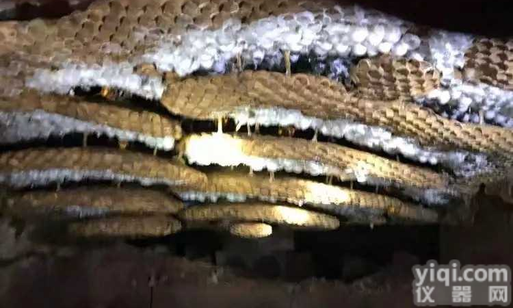 懂人心的<em>蜂产品</em>公司，使用再不怕难操作啦