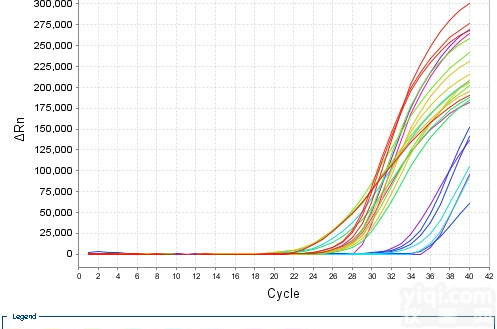 RT-PCR技术服务,核酸检测<em>服务优</em>惠促销