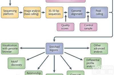 免疫共沉淀<em>技术服务</em>,免疫共沉淀<em>实验</em>外包