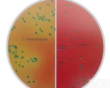 <em>李斯特</em>菌显色<em>琼脂</em>（改良型）