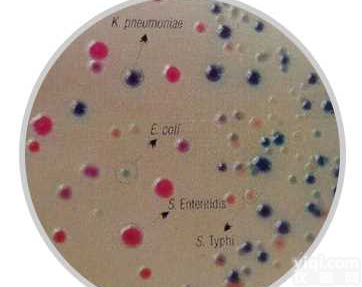 显色<em>培养基</em>沙门氏菌<em>鉴别</em><em>琼脂</em>