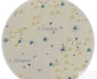 <em>显色</em><em>培养基</em><em>KPC</em>阳性菌