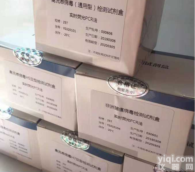 <em>变形</em>丝囊<em>霉菌</em>染料法荧光定量PCR<em>试剂盒</em>