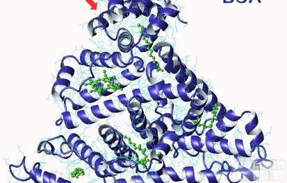 苏<em>丹红</em>I标记鸡卵<em>清白</em><em>蛋白</em>Sudan I-OVA/BSA，厂家直销
