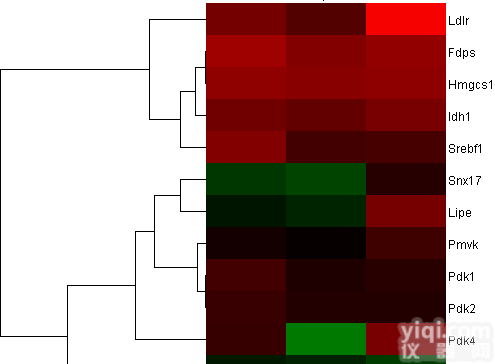 人<em>肿瘤</em>circRNA PCR<em>芯片</em>