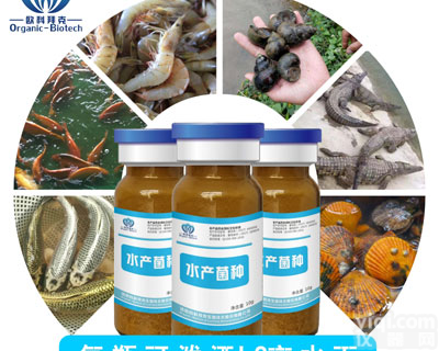 欧科拜克<em>水产</em>em<em>菌种</em>养虾<em>养鱼</em>南美白对虾益生菌海参<em>菌种</em>em菌剂净化水质调理剂