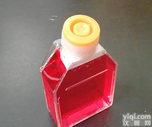 大鼠肺<em>大动脉</em><em>内皮</em>细胞完全<em>培养基</em> 高校合作商