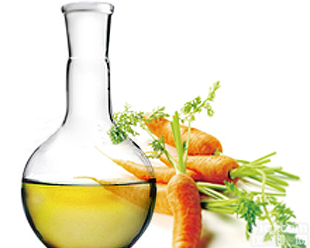 β-<em>石竹</em>烯  <em>87</em>-44-5   反式<em>石竹</em>烯   反式丁香烯现货    厂家直销