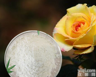 <em>盐酸</em>硫胺 、67-03-8 、硫胺<em>盐酸</em>盐、<em>维生素</em><em>B1</em><em>盐酸</em>现货、厂家直销