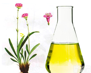 <em>花生</em>四<em>烯酸</em>、<em>506</em>-32-1 、二十碳四<em>烯酸</em>、营养强化剂、现货销售