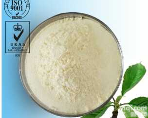 <em>黄芪</em>甲苷   84687-43-4   <em>黄芪</em>皂甙      抗病毒   <em>黄芪</em>甲苷(<em>标准品</em>) 现货 厂家直销