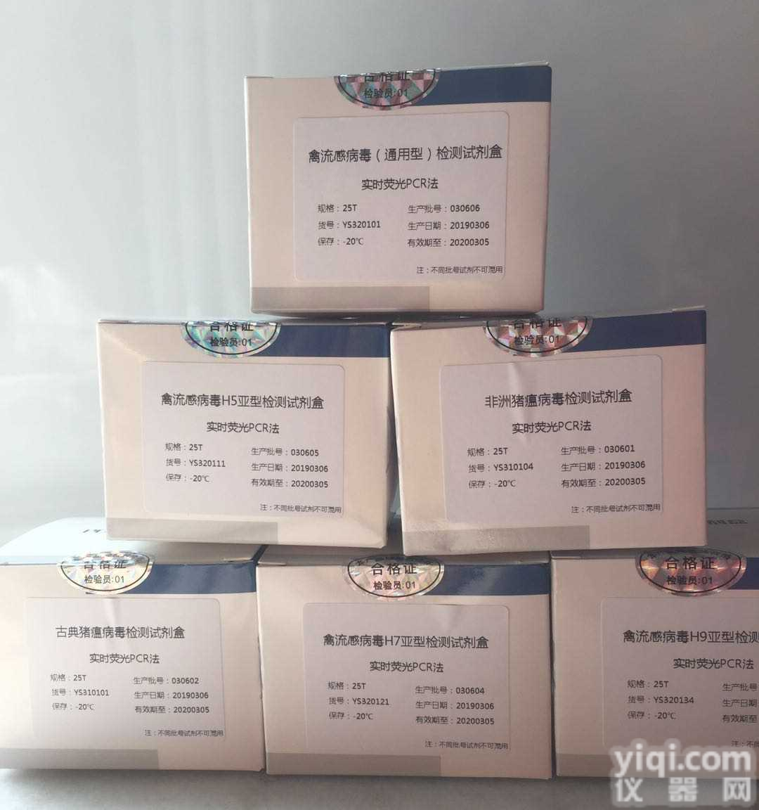 <em>变形</em>丝囊<em>霉菌</em>染料法荧光定量PCR<em>试剂盒</em>