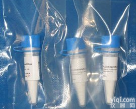 小<em>反刍</em>疫<em>抗体</em>检测试剂盒使用说明书