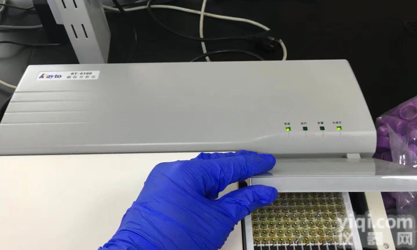 大鼠<em>白介素12 p40elisa试剂盒</em>价格