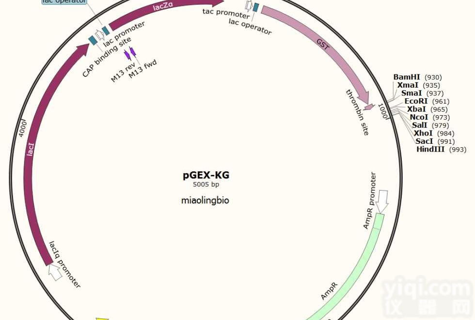 P0007/<em>pGEX</em>-<em>KG</em>大肠表达<em>质粒</em>